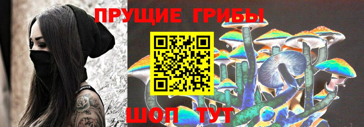 Королёв  Галлюциногенные грибы MAGIC MUSHROOMS  Галлюциногенные грибы мухоморы  Вход с VPN 